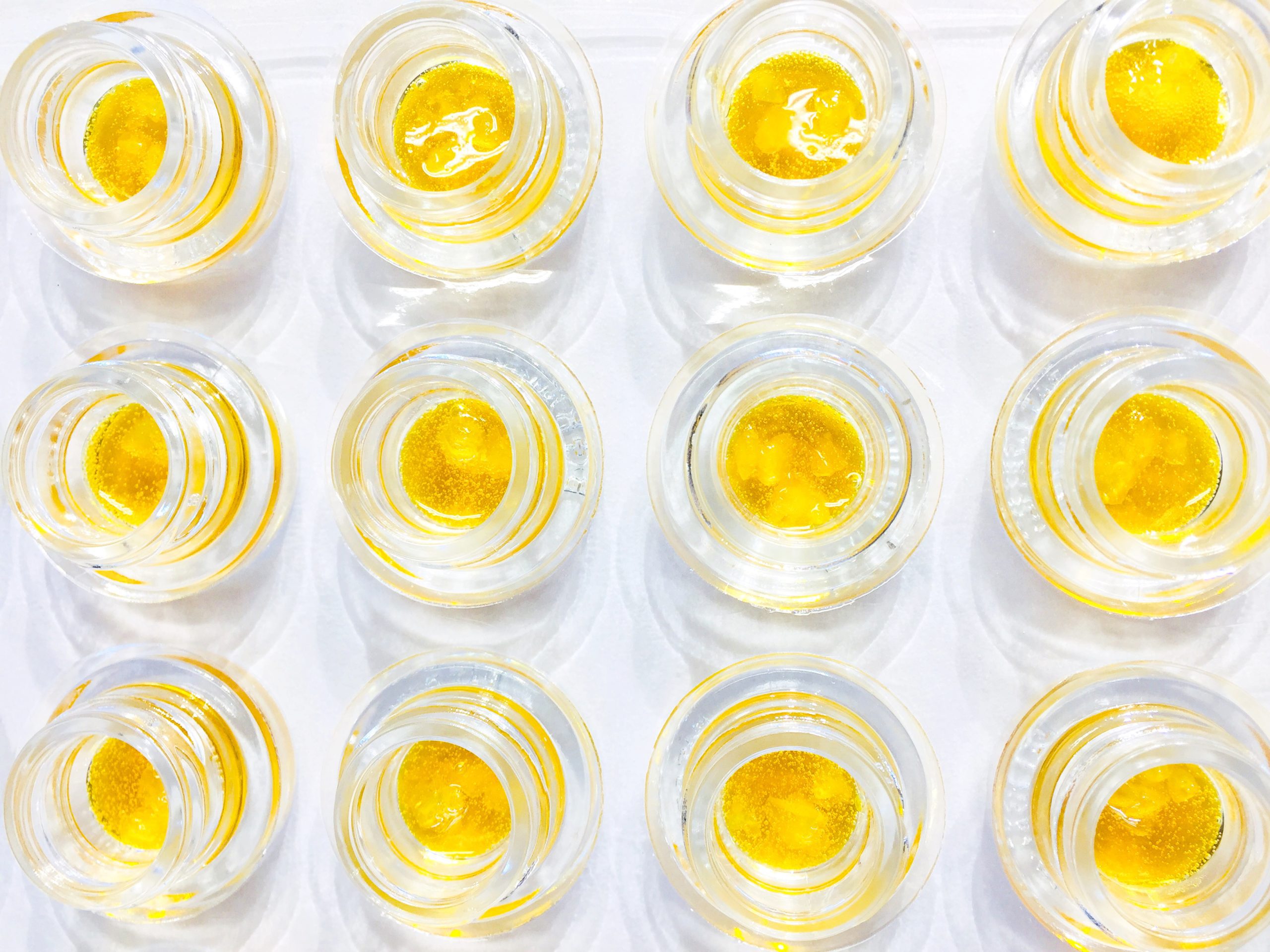 cannabis concentrate badder in rows