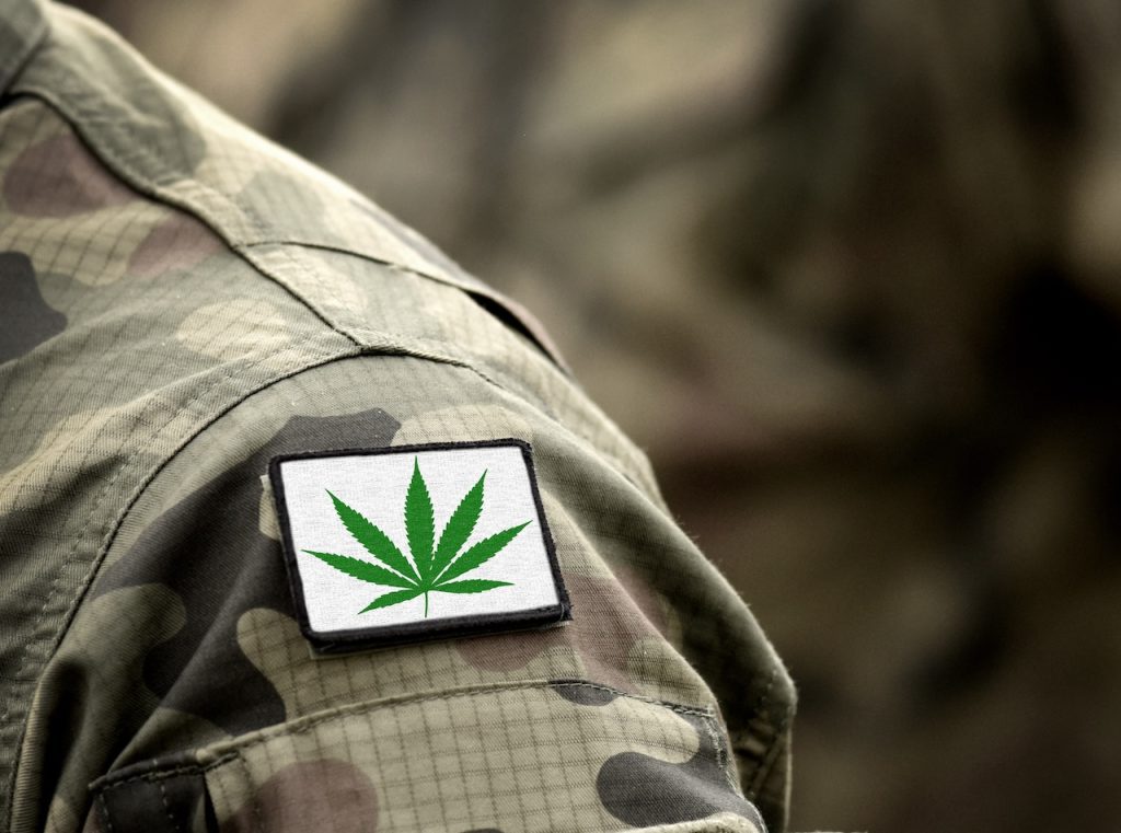 Cannabis leaf on military uniform. Flag with marijuana leaf. Cannabis legalization. Cannabis in Armed Forces.