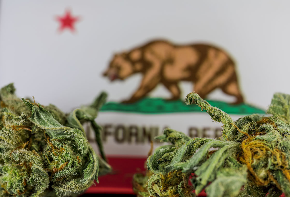 New to a Nevada City dispensary? Learn what to expect, cannabis laws, and how Elevation Dispensary helps first-time visitors.